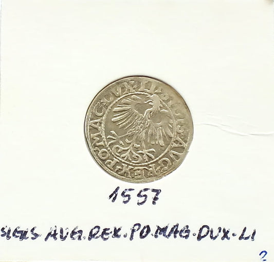 Półgrosz 1557 Zygmunt II August