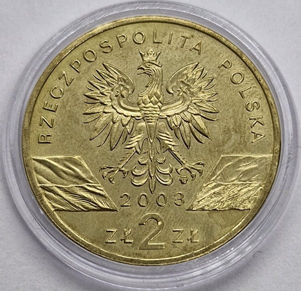 Moneta 2 zł Węgorz europejski 2003