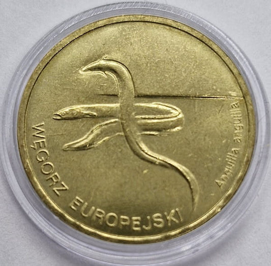 Moneta 2 zł Węgorz europejski 2003