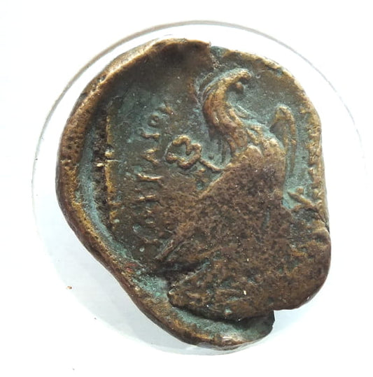 Diobol Egipt Ptolemejski III-II p.n.e