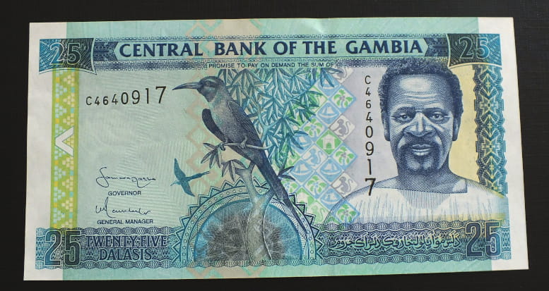 25 Dalasis - Gambia