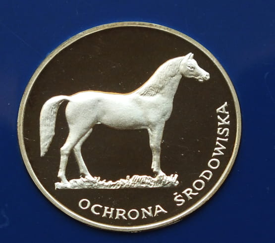 100 zł Ochrona środowiska - Koń