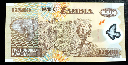 500 Kwacha - Zambia