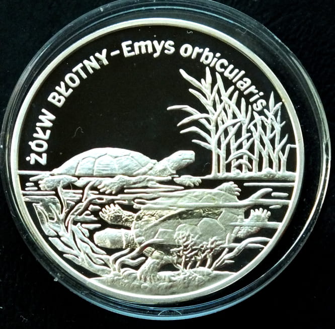 20 zł Żółw błotny - Emys orbicularis