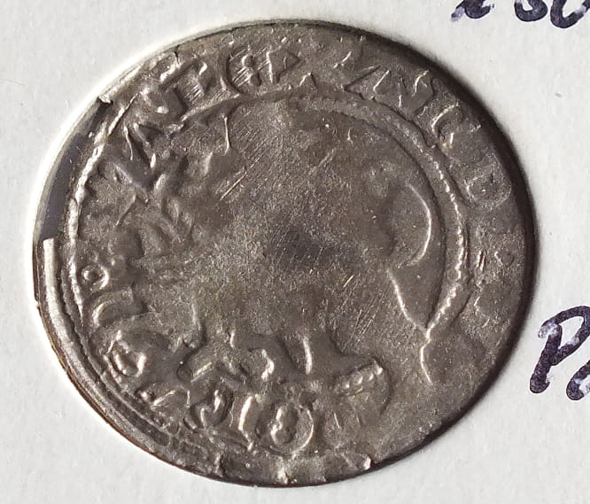 Półgrosz Aleksander Jagiellończyk Wilno