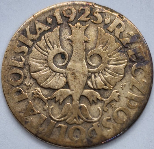 Moneta 5 groszy 1925