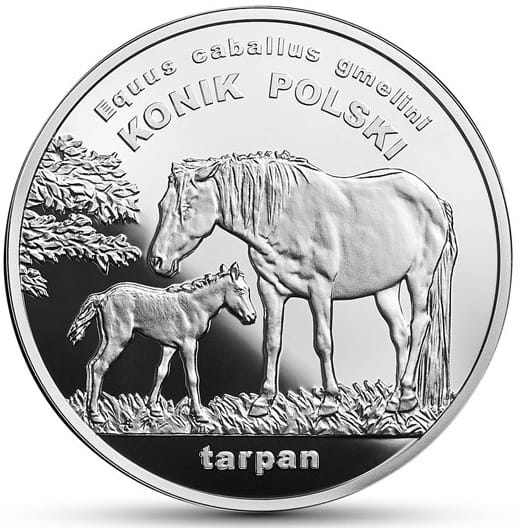 Moneta 20 zł Konik Polski 2014