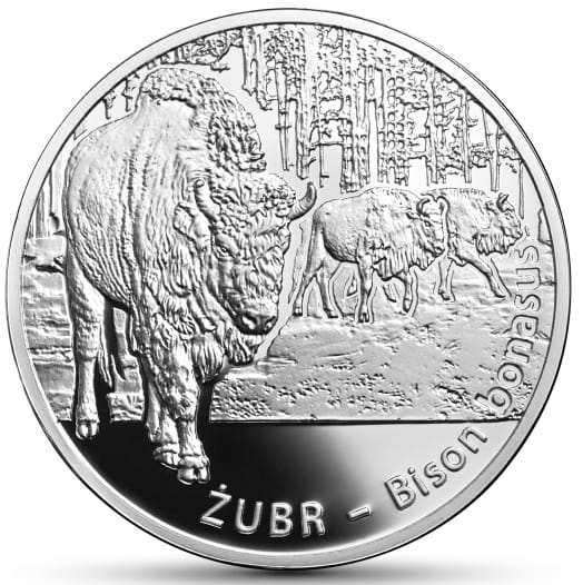 Moneta 20 zł Żubr 2013