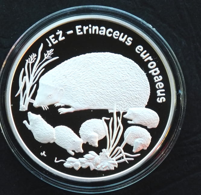20 zł Jeż (łac. Erinaceus europaeus)