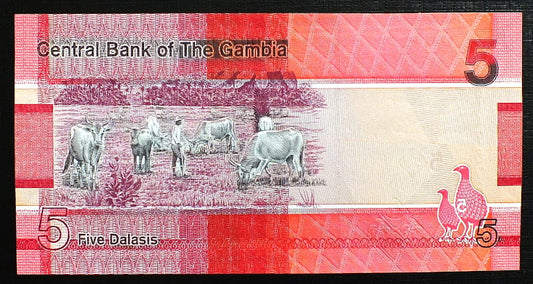 5 Dalasis - Gambia 2019 r.