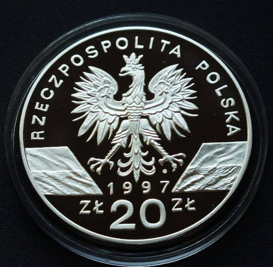 20 zł Jelonek rogacz (łac. Lucanus cervus)