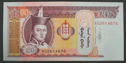 20 Turgik - Mongolia 2009 r.