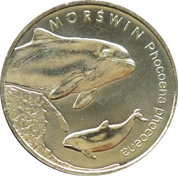 2 zł Morświn (łac. Phocoena phocoena)
