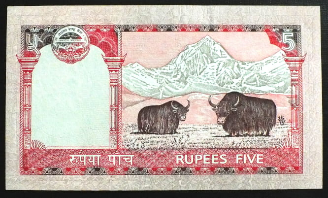 5 Rupees - Nepal 2008 r.