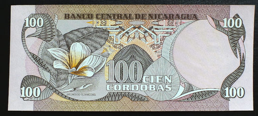 100 Cordobas - Nikaragua