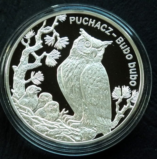 20 zł Puchacz (łac. Bubo bubo)