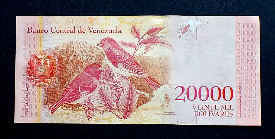 20000 Bolivarer - Wenezuela 2017 r.