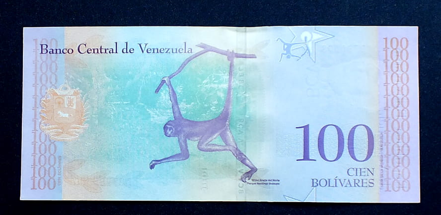 100 Bolivarer - Wenezuela 2018 r.